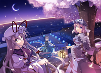 >���z��Ę^